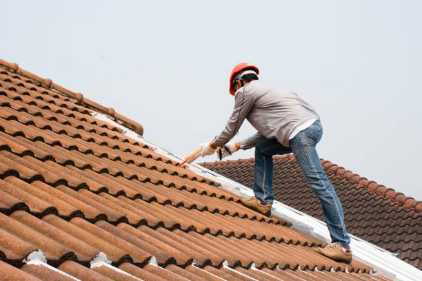 Best Storm Damage Roof Repair  in Riverton, IL